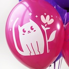 Б Шар (14"/35 см) С ДР Котики милые Пастель Ассорти 2цв 2ст 50шт BELBAL продажа в интернет - магазине ПраздникМастер