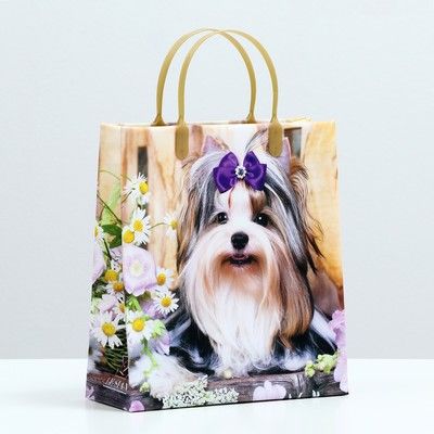 Пакет пластиковый Йорк 26x23см 1шт