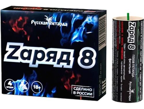 П3008