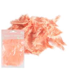 Перья Rose gold 30шт 1упак фотография