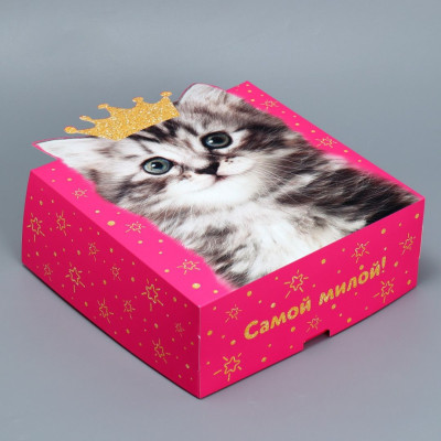 Коробка складная Котик 25х25х10см 1шт