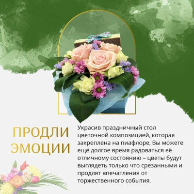 Губка Флористическая для живых цветов OASIS КЛАССИК 23х11х8см 10шт 1 коробка