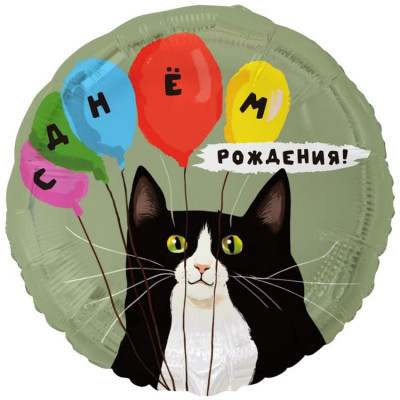 ВЗ Круг (18"/46 см) С ДР Кот и воздушные шары Оливковый Металлик 1шт в интернет магазине Праздникмастер