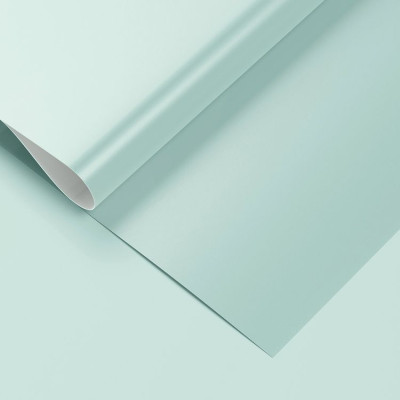 Бумага д/упак Голубой (5523) Pantone 67х99см 1 лист для упаковки подарков и цветов