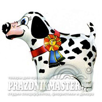Ф Фигура (24''/61 см) Супер далматинец Белый 1шт