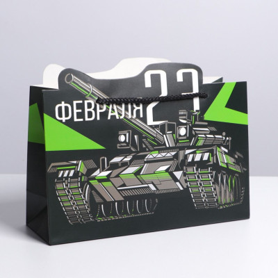 Пакет Победа 30х23х10см 1шт