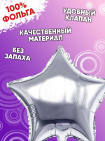 ПМ Звезда (19''/48 см) Серебро Silver Металлик 1шт в интернет магазине Праздникмастер