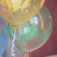 М Шар (12"/30 см) Перья Ассорти Кристалл 4ст 25шт Globos Payaso продажа в интернет - магазине ПраздникМастер
