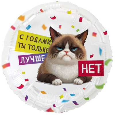 ВЗ Круг (18"/46 см) С годами ты лучше Кот сердитый 1шт в интернет магазине Праздникмастер