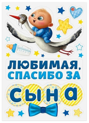 Набор магнитов на авто Спасибо за сына на выписку 29,7х42см 1уп фотография