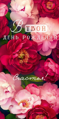 Конверт для денег В твой ДР Счастья 16,8х8,4см 1шт фотография